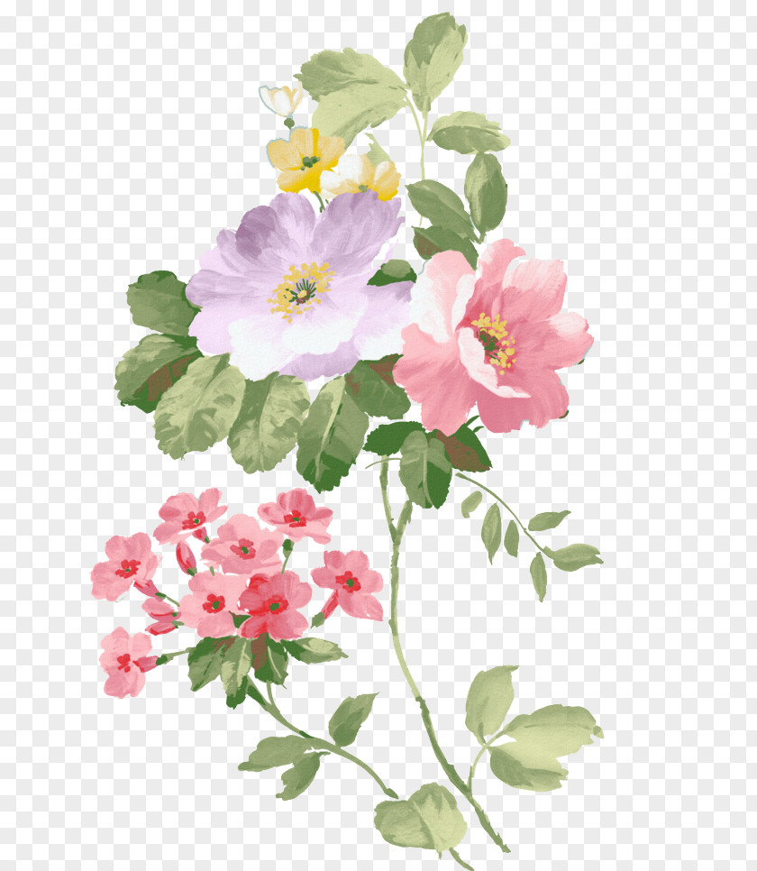 Watercolor Flowers Bible Love Of God Blessing PNG