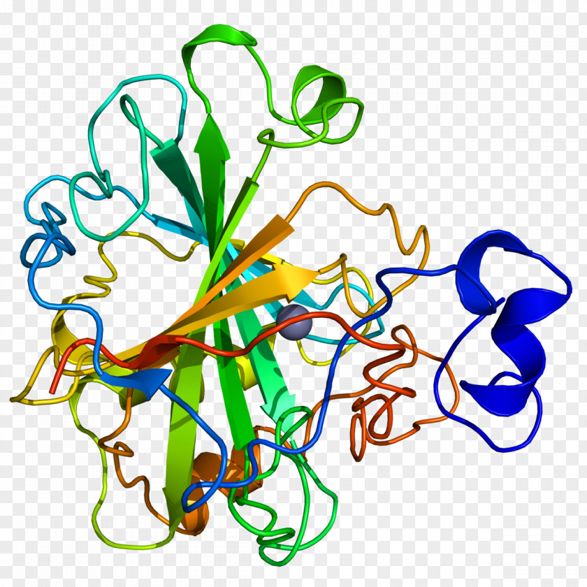 Carbonic Anhydrase Inhibitor Catalysis Enzyme Carbon Dioxide PNG