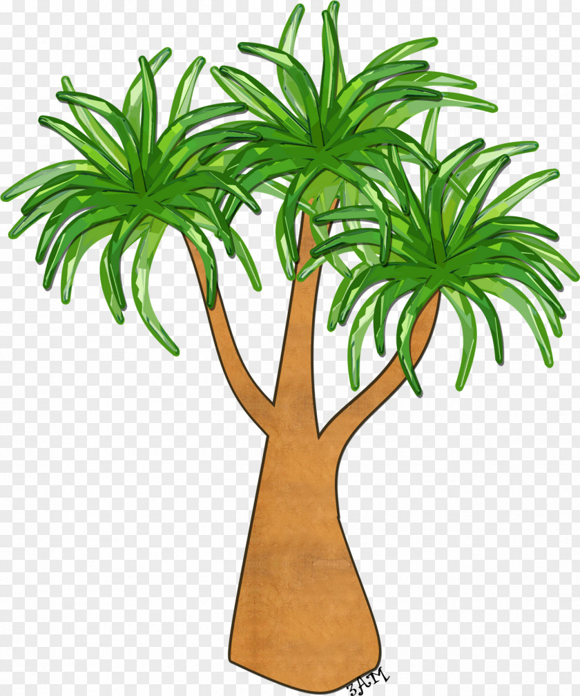 Palm Forest Tree Woody Plant Arecaceae Stem PNG