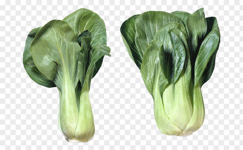Two Cabbage Vietnamese Cuisine Chinese Leaf Vegetable PNG