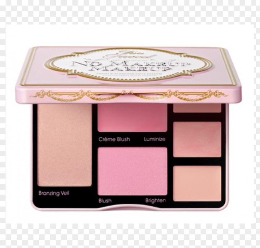 Face Cosmetics Too Faced 'The Secret To No Makeup' Makeup Palette Hangover Primer PNG