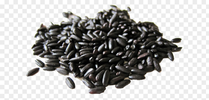 Full Of A Bunch Black Rice Cereal Flour Extract PNG