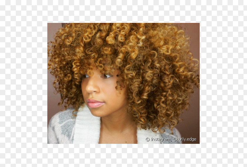 Hair Afro Blond Coloring Brown PNG
