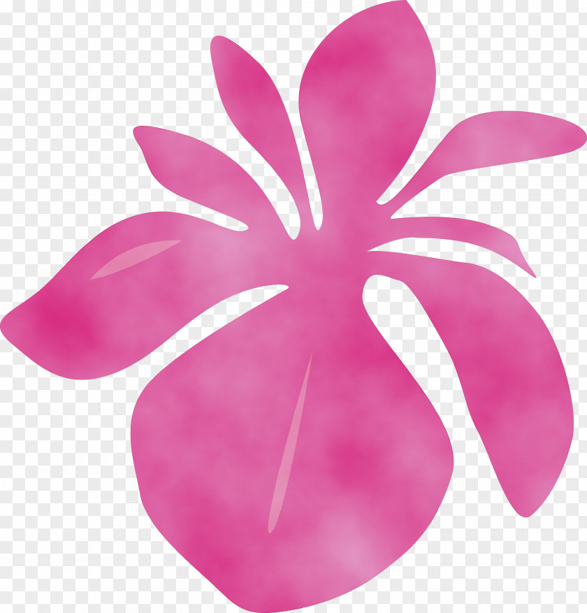 Pink Petal Magenta Violet Plant PNG