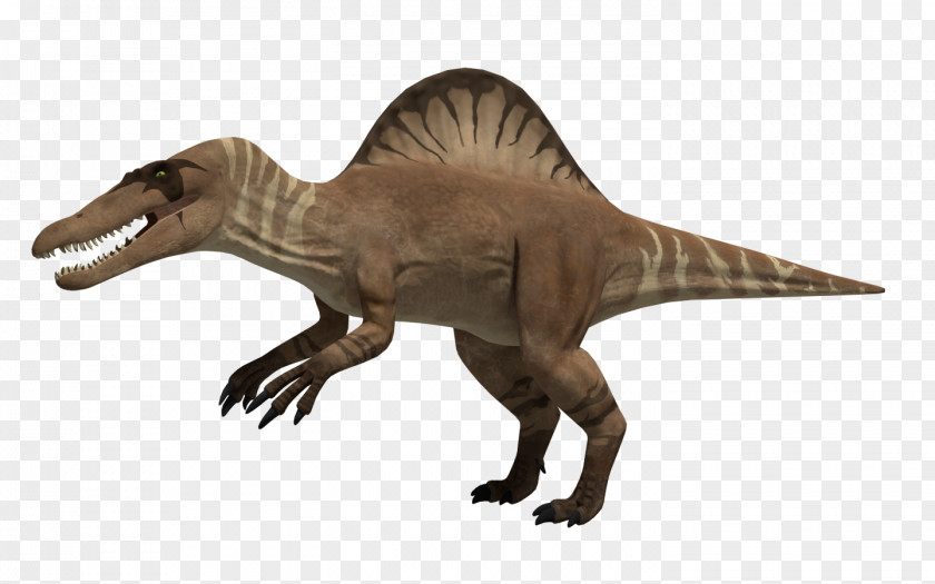Tyrannosaurus Rex Spinosaurus Acrocanthosaurus Dinosaur Troodon PNG
