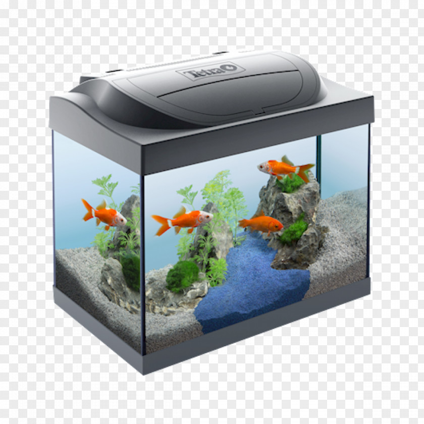 Aquarium Hydroponics Tetra Goldfish Light-emitting Diode Pet PNG