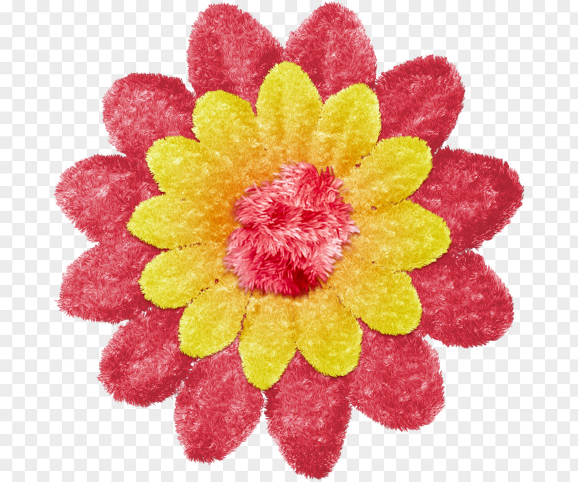 Chrysanthemum Yellow Magenta Cut Flowers PNG