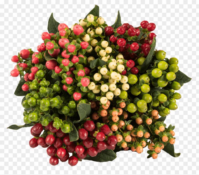 Flower Lingonberry Cut Flowers Floral Design Bouquet PNG