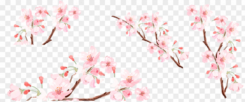 Fresh And Beautiful Peach Blossom Flower Collection Download PNG