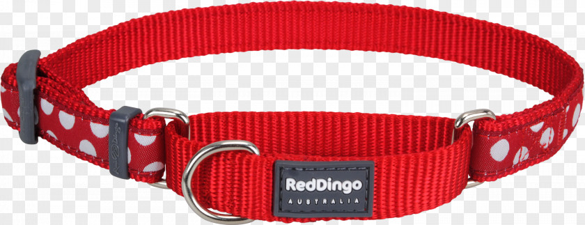Red Collar Dog Dingo Strap Belt PNG