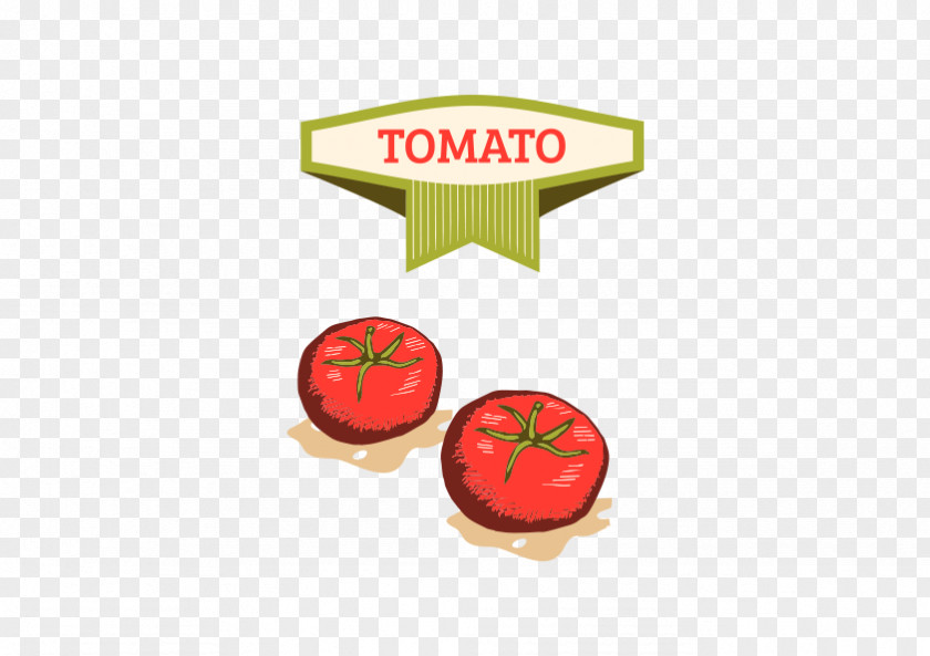 TOMATO Tomato Euclidean Vector PNG