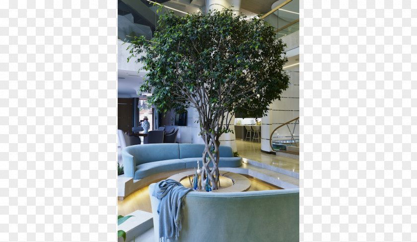 Tree Property Furniture Houseplant PNG