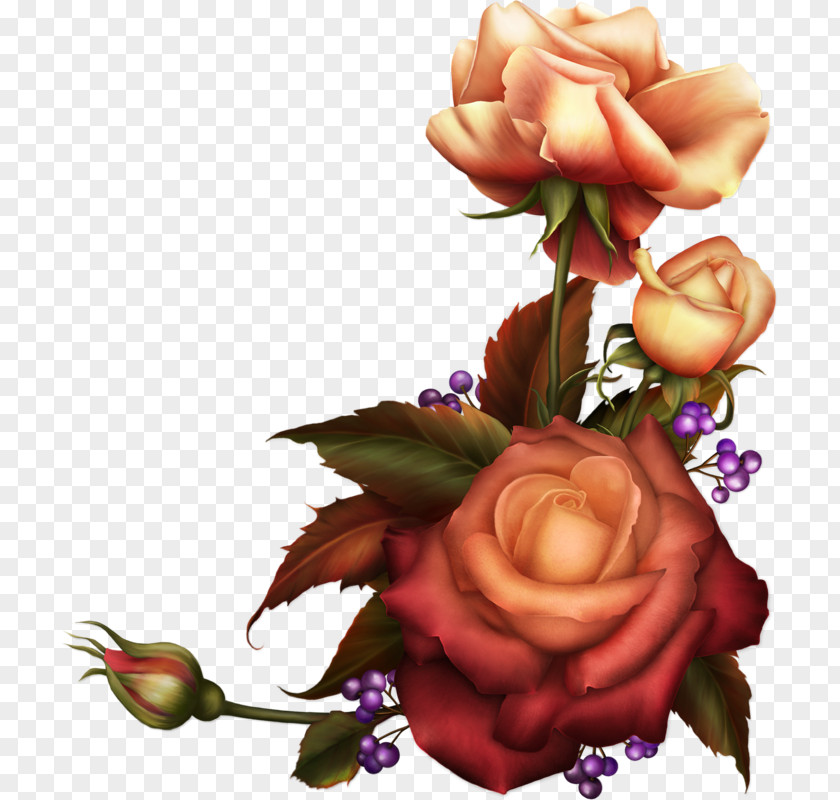 Flower Garden Roses Desktop Wallpaper Clip Art PNG