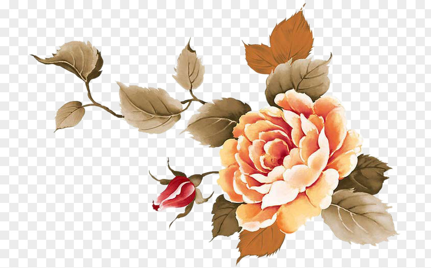 Flower Ornament Drawing Decoupage PNG