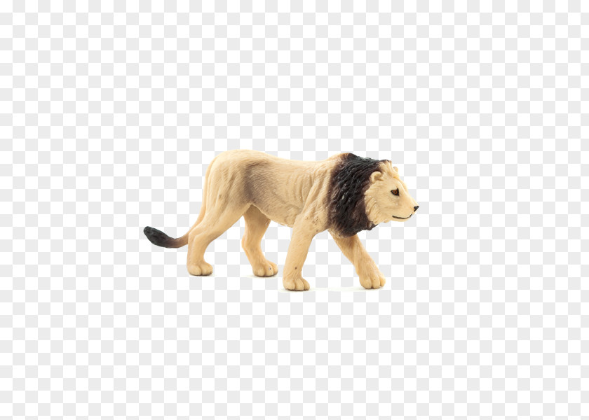 Lion White Animal Planet Cheetah PNG