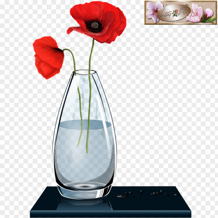 Vase Still Life Photography Glass PNG