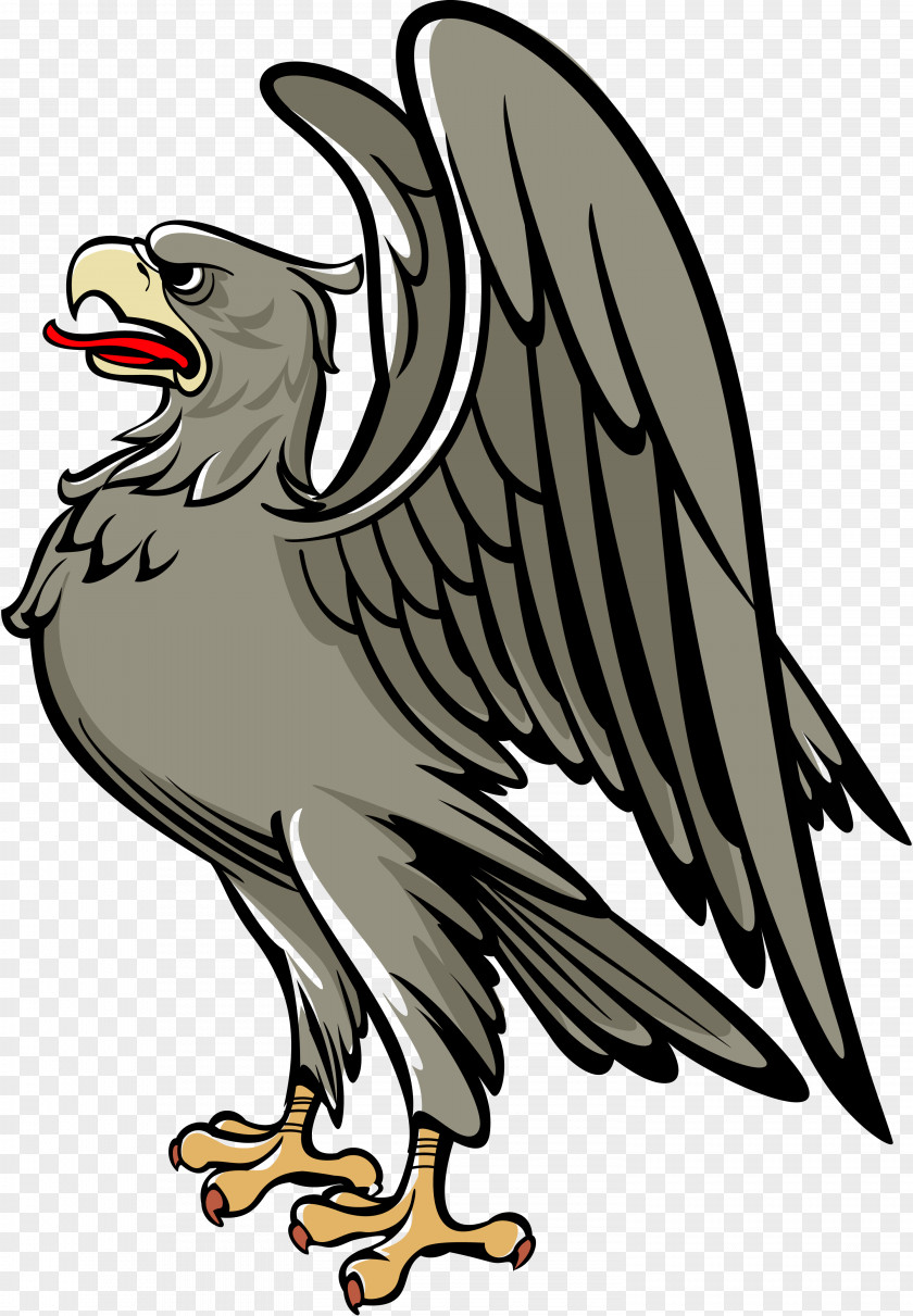 Eagle Bird Middle Ages Coat Of Arms Heraldry PNG