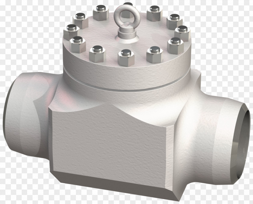 High Pressure Cordon Provalve Armaturen GmbH & Co. KG Vapor Seal PNG