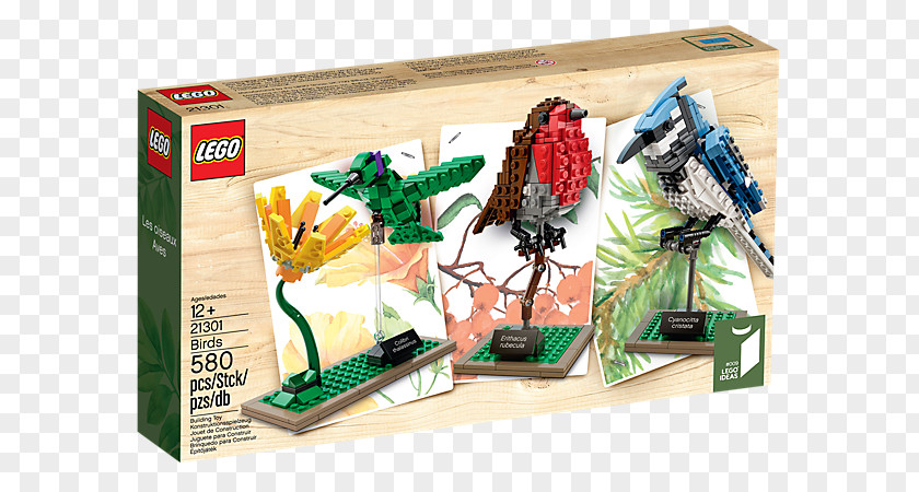 Lego Ideas Amazon.com LEGO 21305 Maze 21301 Birds PNG