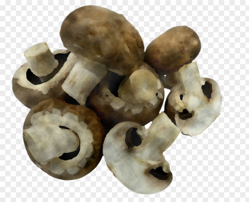 Oyster Mushroom Beige Champignon Bone Figurine Agaricus PNG
