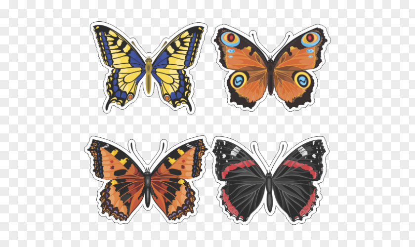 Butterfly Vector Graphics Stock Illustration Image PNG