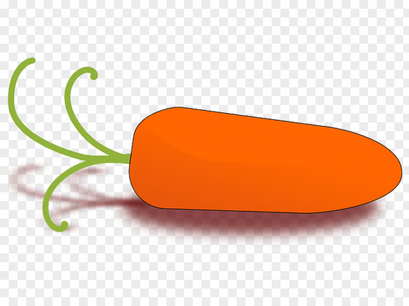 Crisp Vector Baby Carrot Vegetable Clip Art PNG