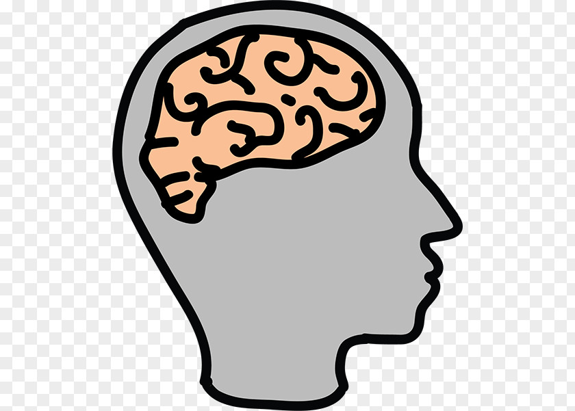 Human Brain Cartoon Drawing Clip Art PNG