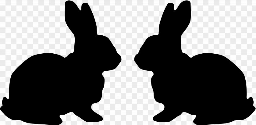 Rabbit Hare Easter Bunny White Clip Art PNG