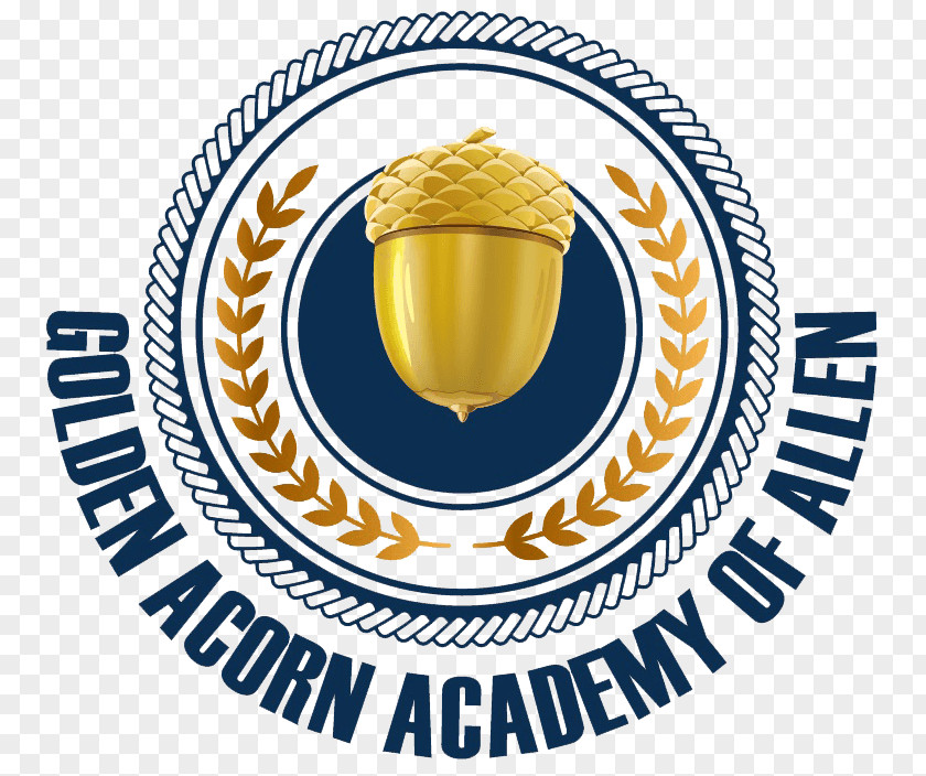 School Golden Acorn Academy Pre-school Early Childhood Education Private PNG