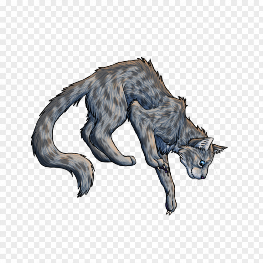 Cat Warriors Shellheart Rainflower Eclipse PNG