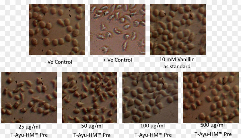 Chocolate Material Flooring PNG