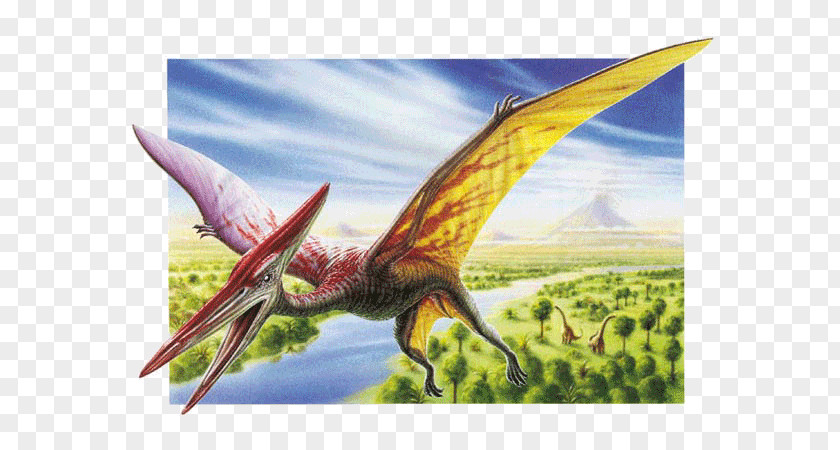 Dinosaur Pterodactyl Pteranodon Quetzalcoatlus Pterosaurs PNG