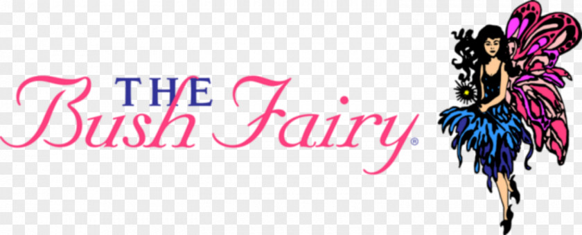 Fairy THE Bush Balloon Children's Party PNG