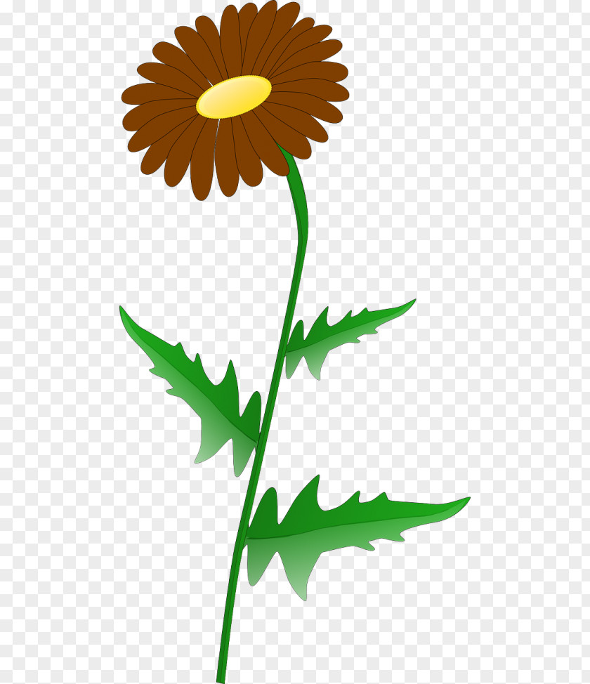 Greenery Clipart Vector Clip Art Graphics Free Content Common Daisy PNG