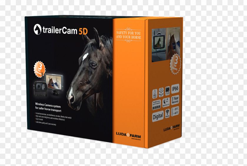 Horse Canon EOS 5D Trailer Camera Surveillance PNG