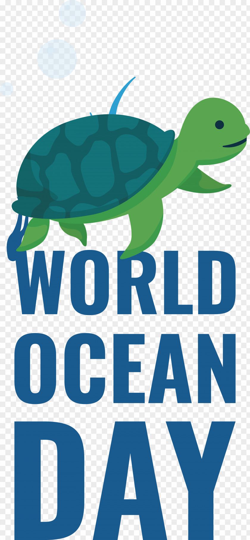 Sea Turtles Tortoise Logo Turtles Green PNG