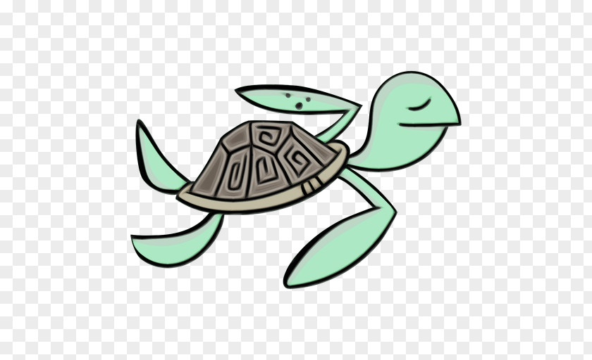 Sea Turtles Tortoise Meter PNG