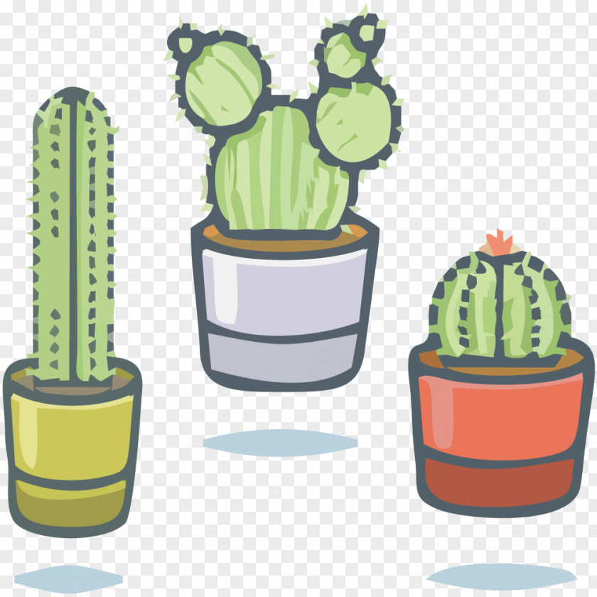 Vector Green Cactus Cactaceae Succulent Plant Illustration PNG