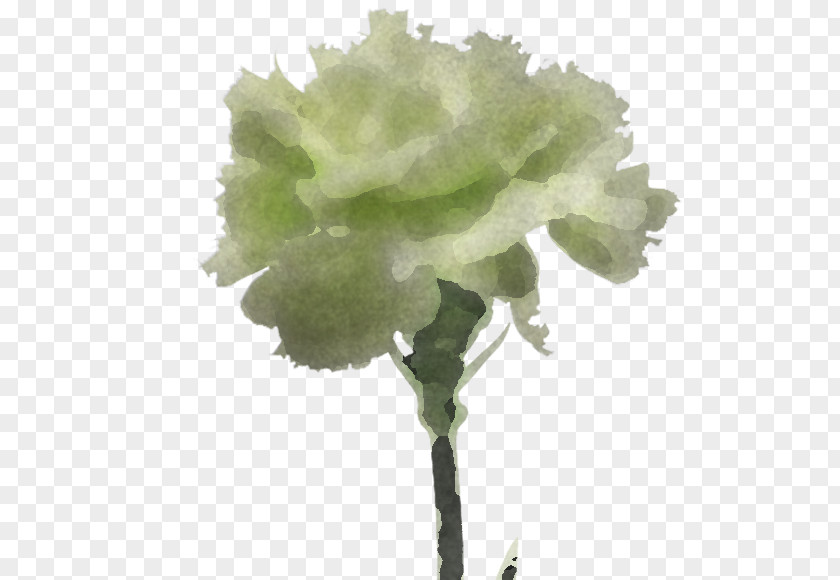 Artificial Flower PNG