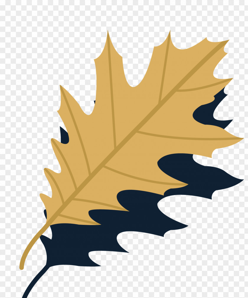 Autumn Leaves Collection Vector Material Leaf Euclidean PNG