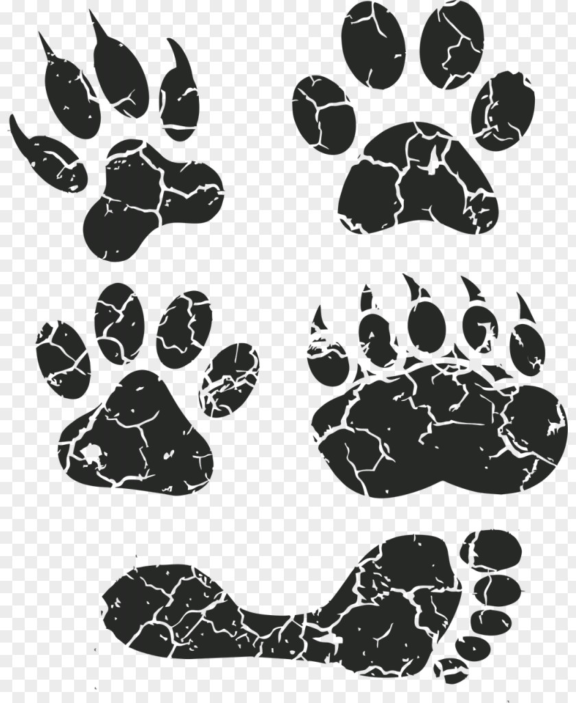 Cat Claw Border Collie Puppy Pet Sitting Dog Daycare Walking PNG