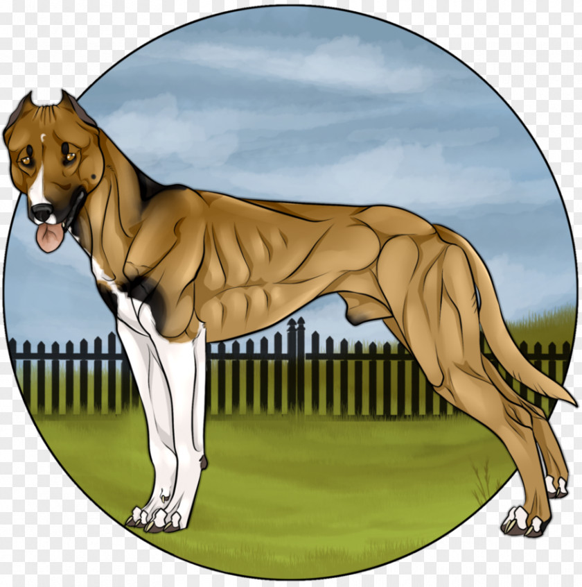 Dog Breed Cartoon PNG