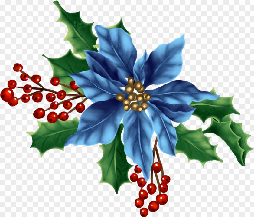 情人节玫瑰 Flower Holly Aquifoliales Fruit Petal PNG