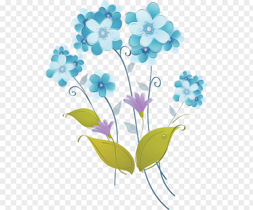 Flower Plant Cut Flowers Hydrangea Pedicel PNG