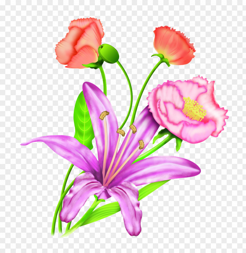 Hand-painted Lily Carnation Flowers Lilium Flower PNG