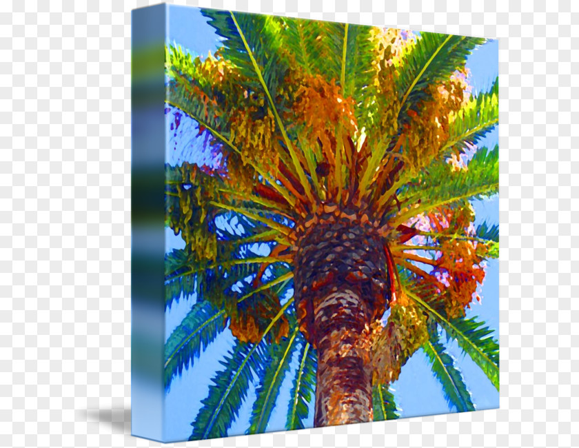 Painting Gallery Wrap Art Canvas Tree PNG