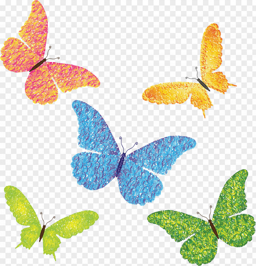 Butterfly PNG