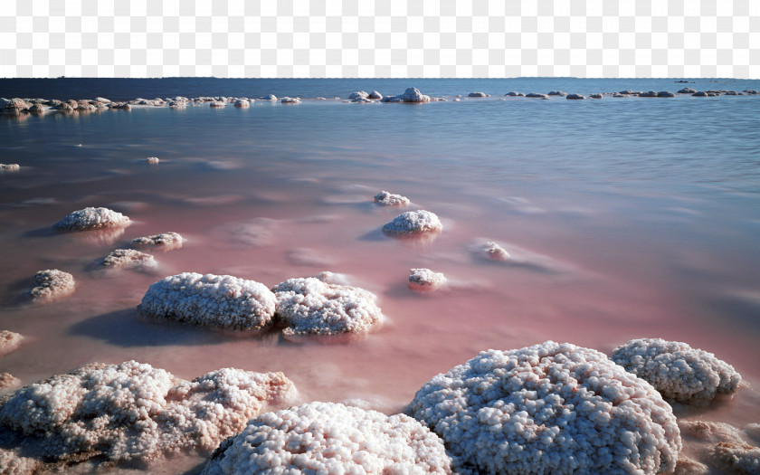Dead Sea Salt And Fourteen Western Antelope Island Great Lake State Park Desert PNG