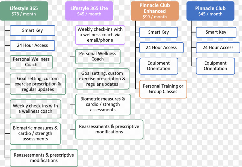 Fitness Program Web Page Organization Line Font PNG