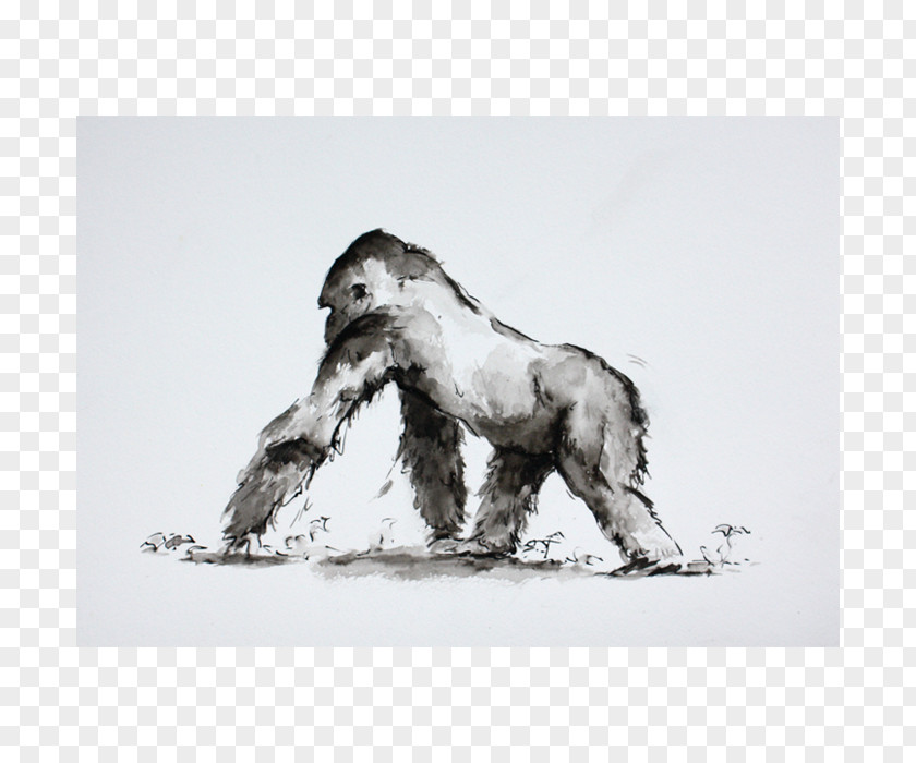 Gorilla Dog Drawing Canidae /m/02csf PNG